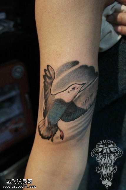 胳膊鸽子纹身图案 第1张