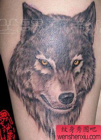 狼纹身图案:霸气的手臂狼头纹身图案 第1张